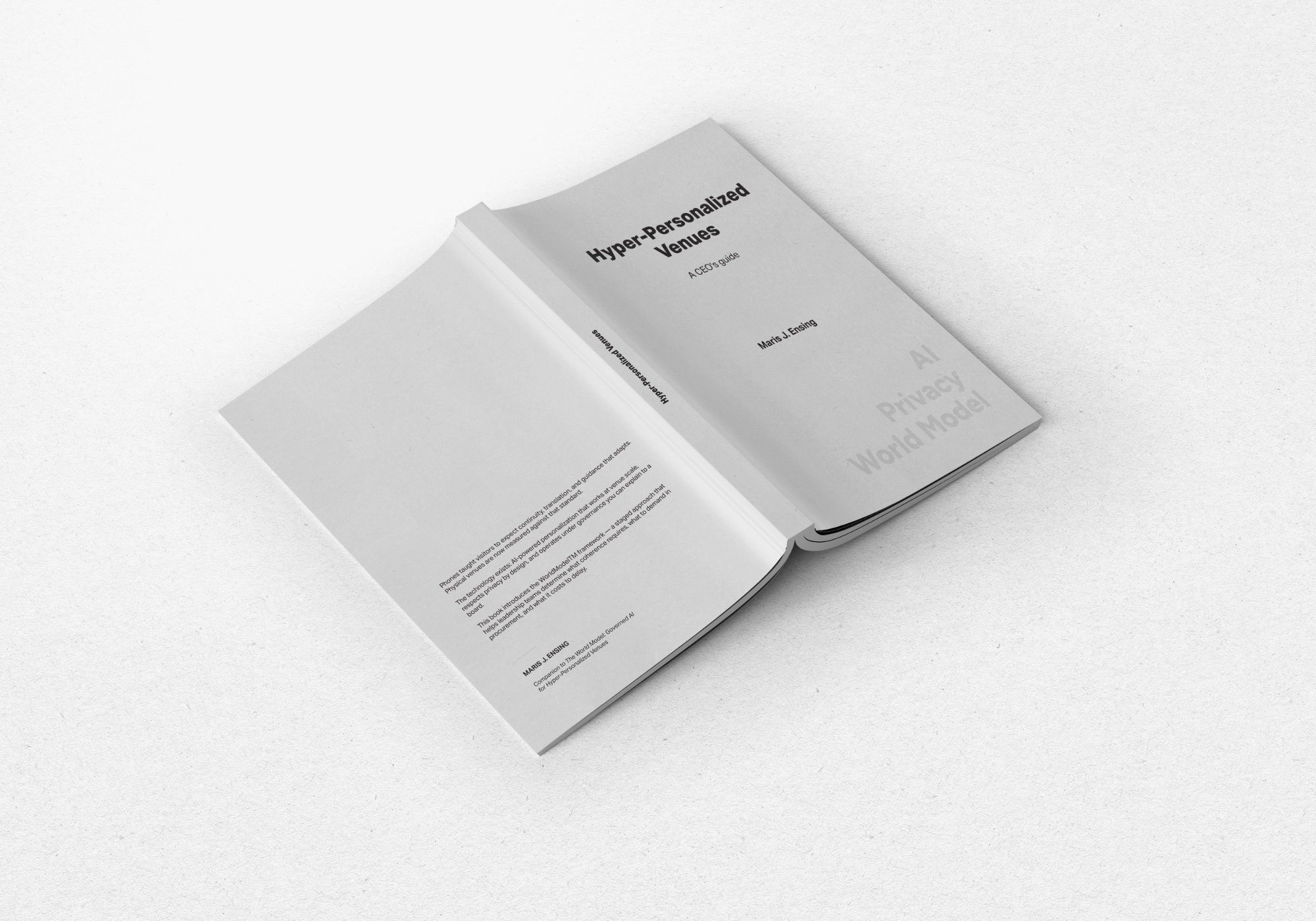 Hyper-Personalized Venues - A CEO's Guide by Maris J. Ensing